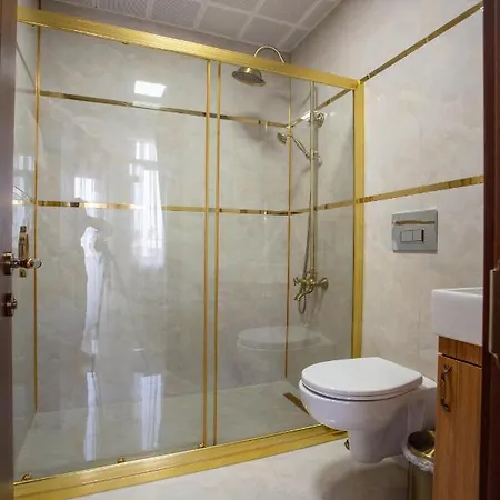 Hotel Sayina 3*