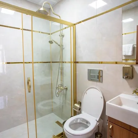 Sayina איסטמבול