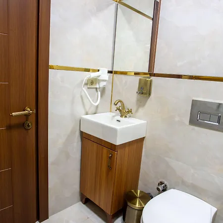 Hotel Sayina 3*
