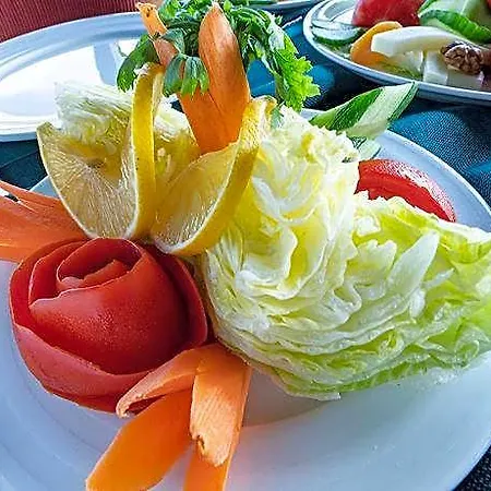 Sayina İstanbul