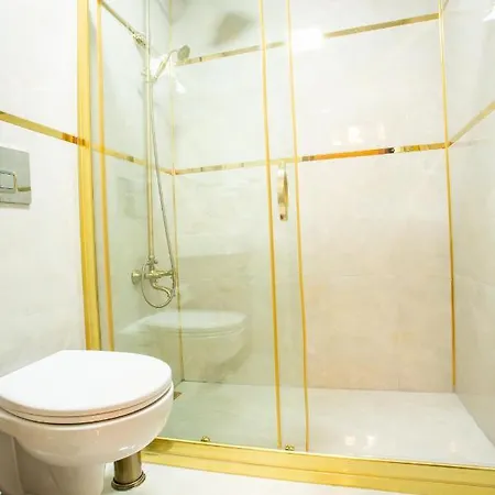 Sayina Hotel 3*