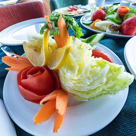 Hotel Sayina Provincia di Istanbul
