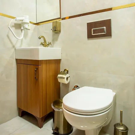 Sayina Hotel Provincia di Istanbul