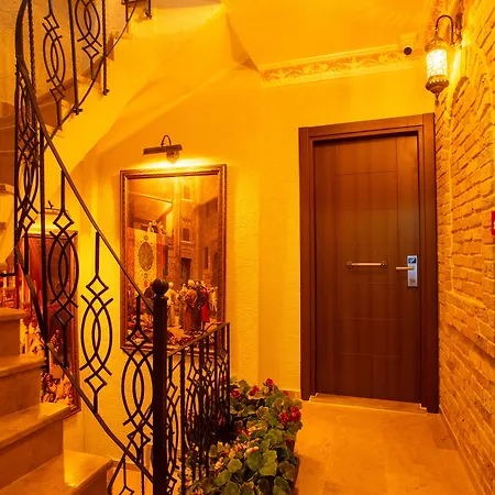 Sayina Hotel 3*